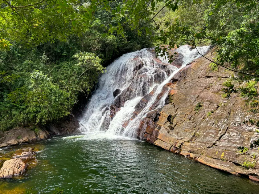 Sinharaja Rainforest